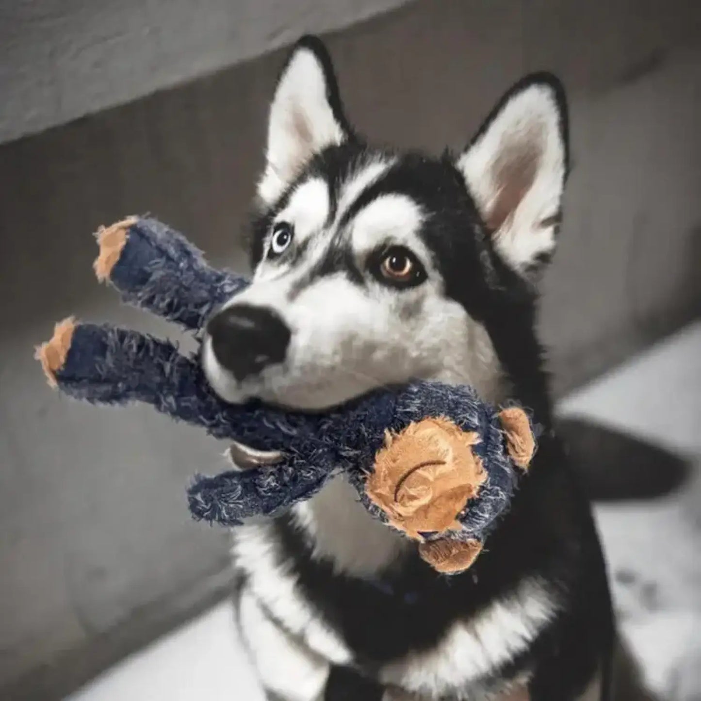 Bite-Resistant Dog Chewing Toy in Adorable Bear Plush Design