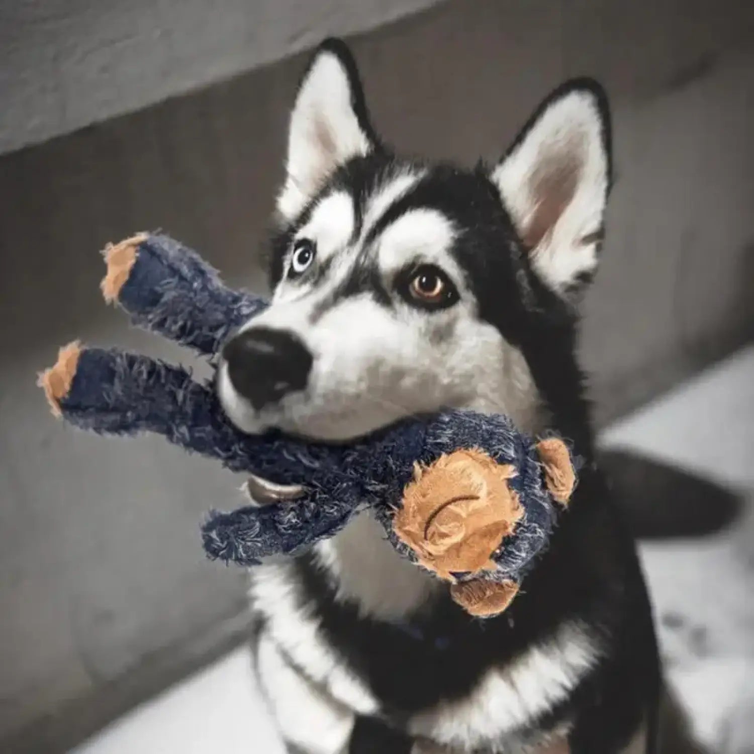 Bite-Resistant Dog Chewing Toy in Adorable Bear Plush Design