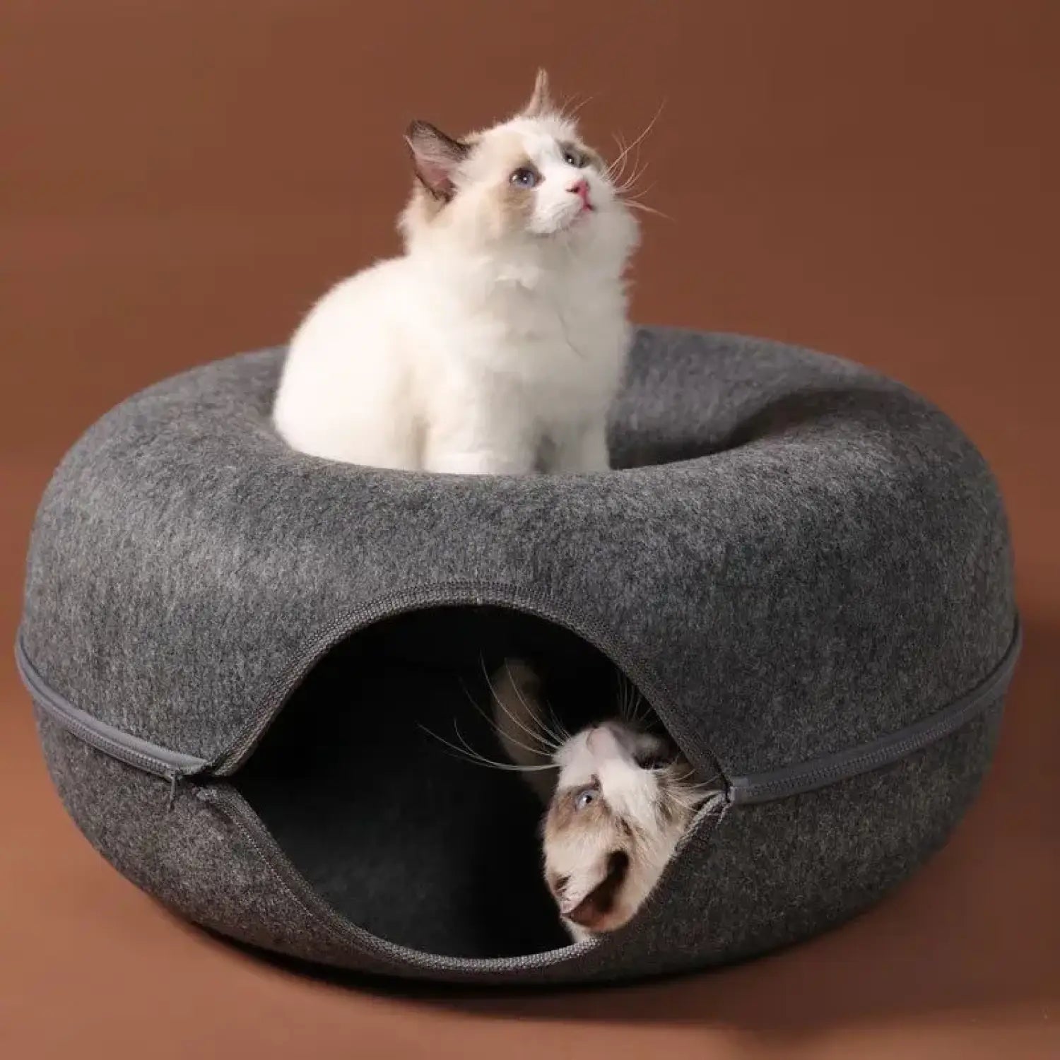 Cat Tunnel Bed with Cozy Felt Donut Design for Indoor Fun