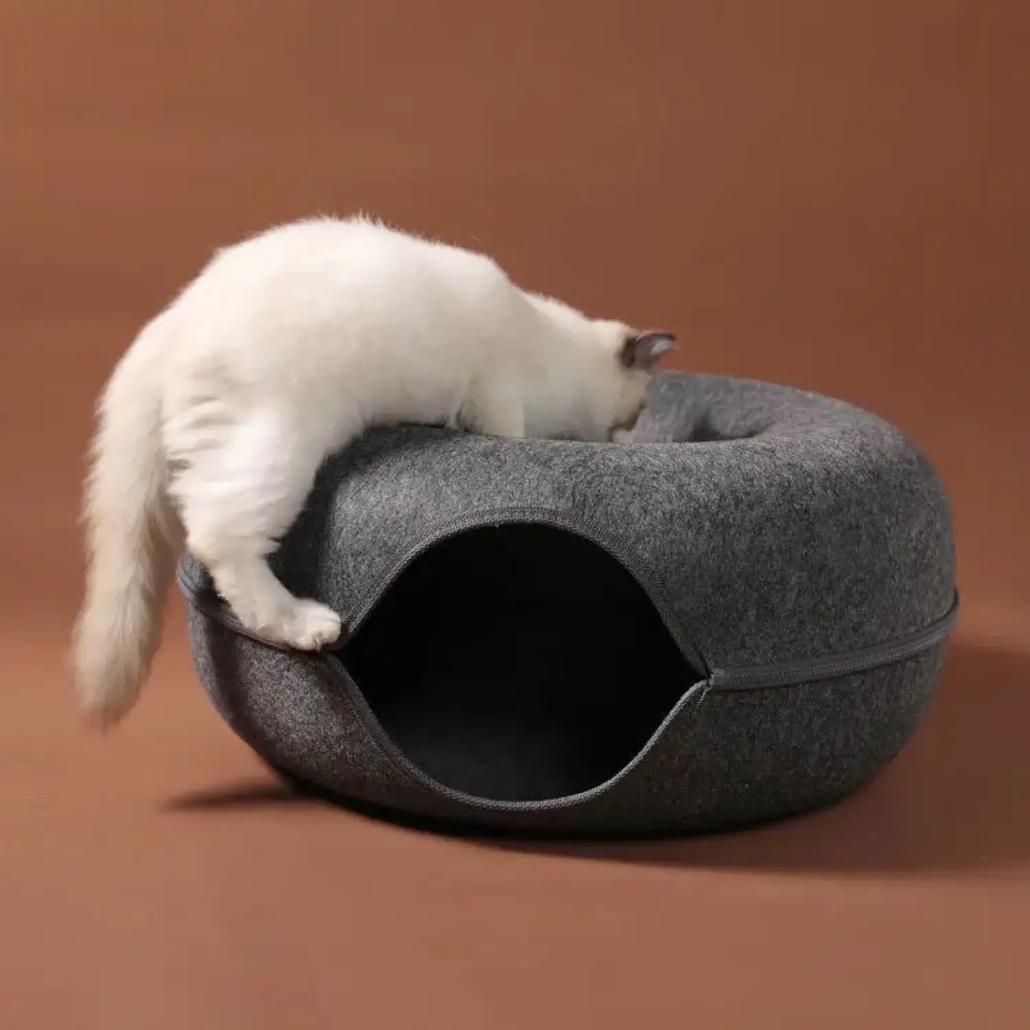 Cat Tunnel Bed with Cozy Felt Donut Design for Indoor Fun