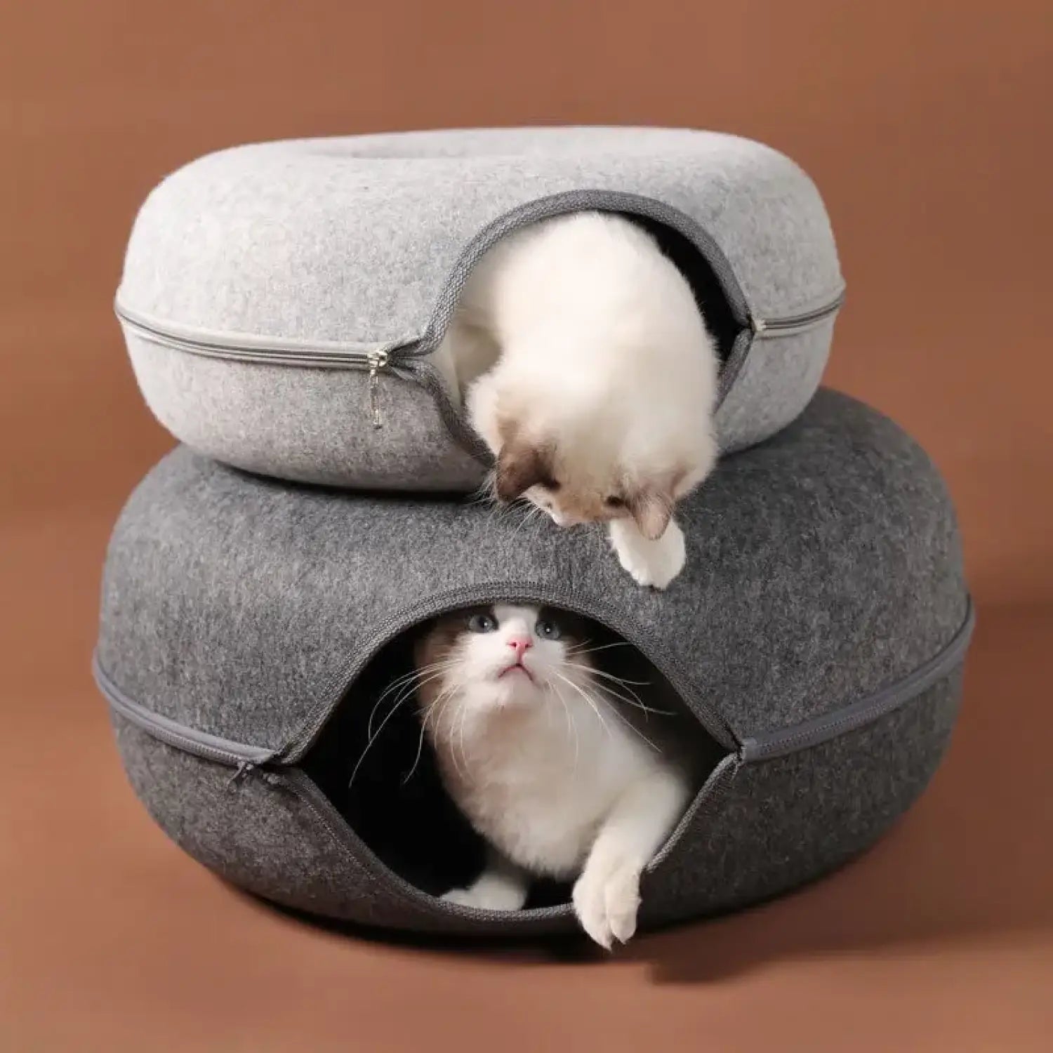 Cat Tunnel Bed with Cozy Felt Donut Design for Indoor Fun
