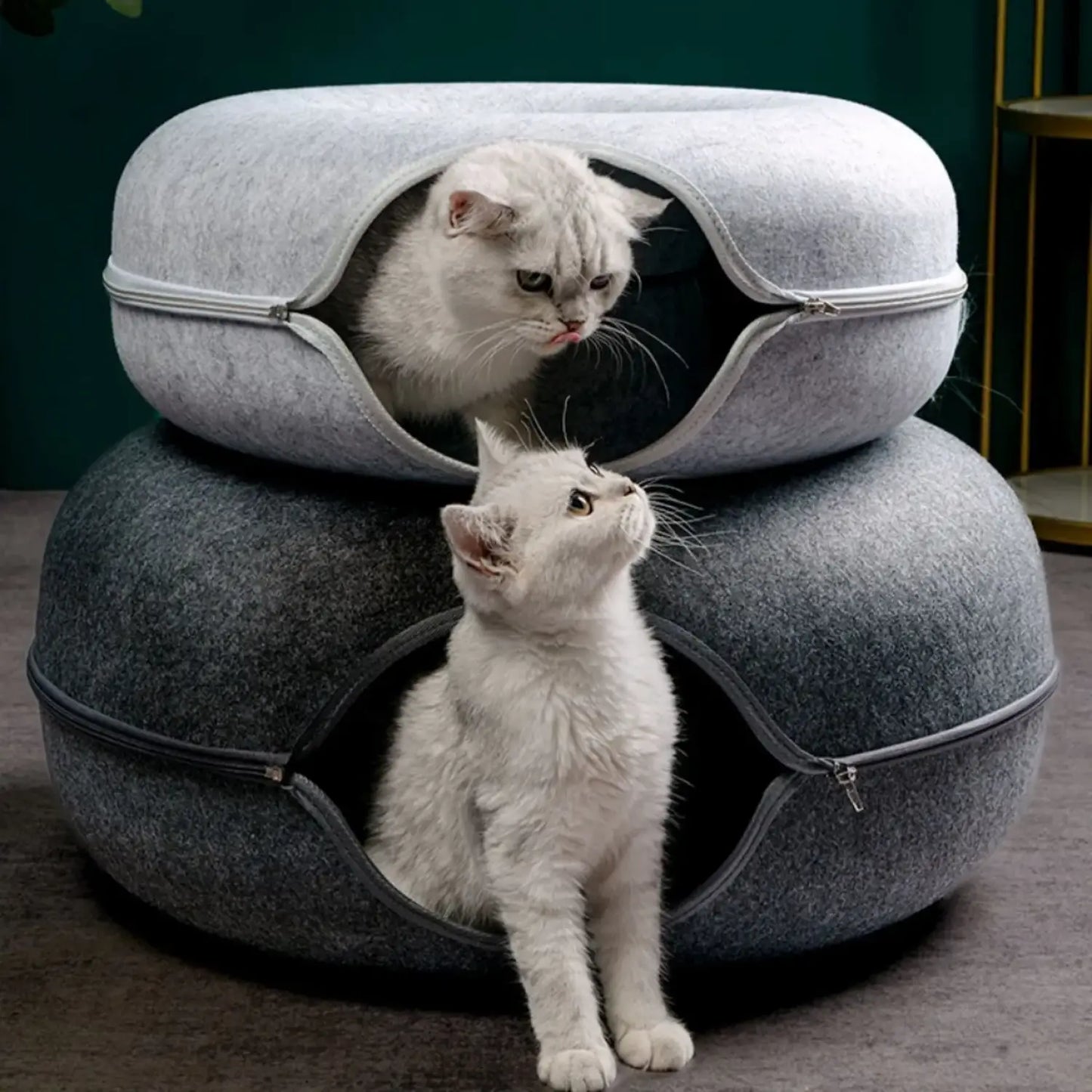 Cat Tunnel Bed with Cozy Felt Donut Design for Indoor Fun