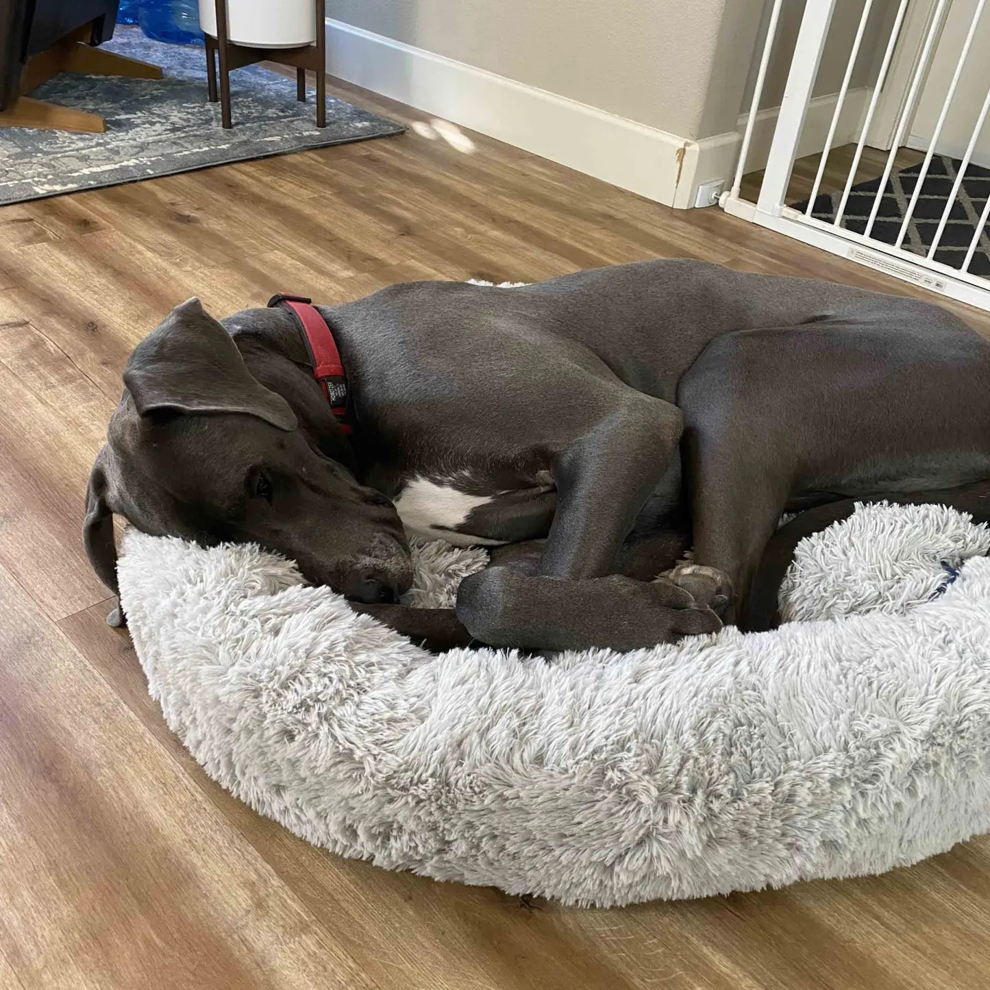 Cozypaws Orthopedic Dog Bed – Reversible All-Season Comfort - Orthopedic Dog Bed