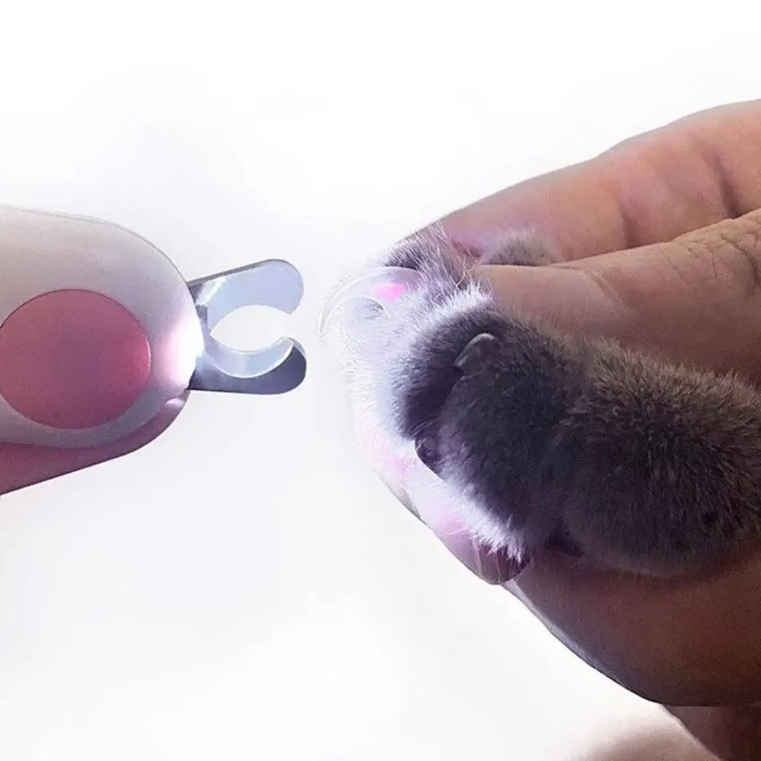 Pet Nail Clippers with LED Light for Precise and Safe Trimming - Nail Clipper